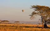 TANZANIA - Serengeti National Park - Mongolfiera - 3